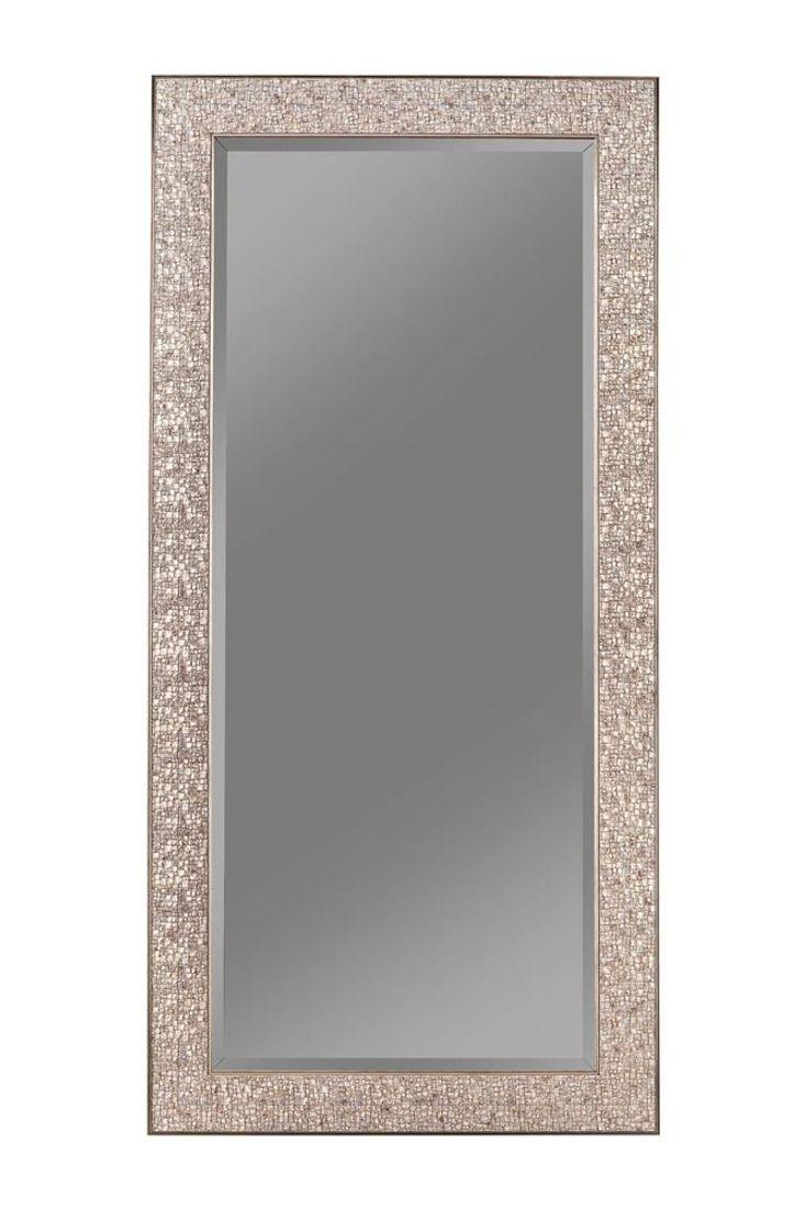 Rollins 32 x 66 Inch Rectangular Floor Mirror Silver